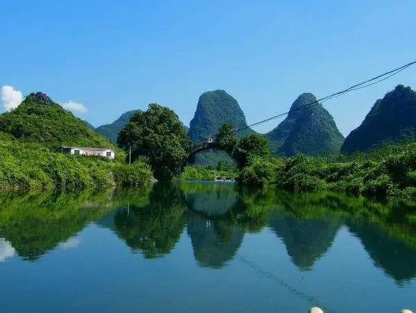 绿色绿色